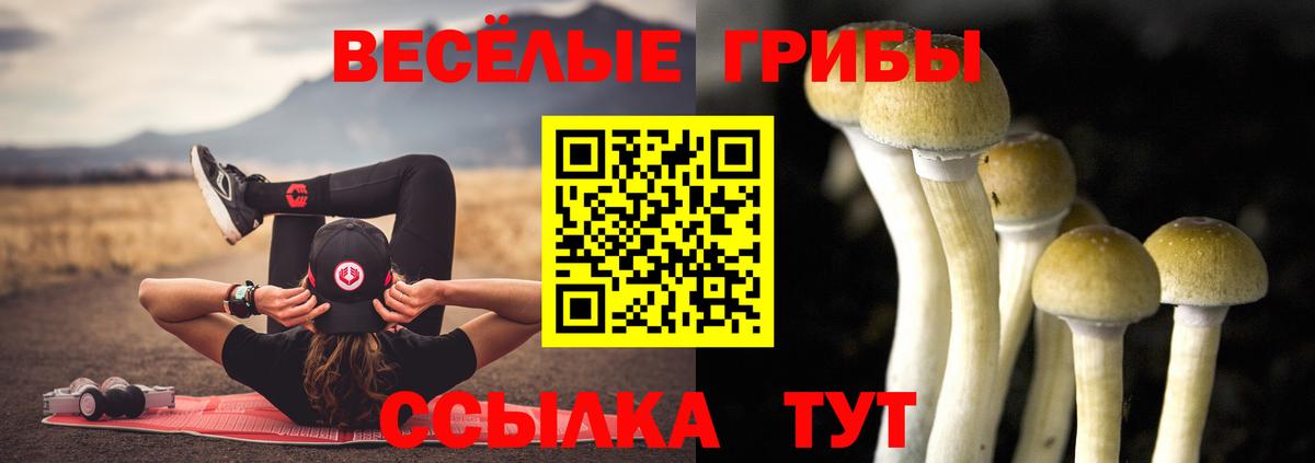 Псилоцибиновые грибы MAGIC MUSHROOMS Тельмана