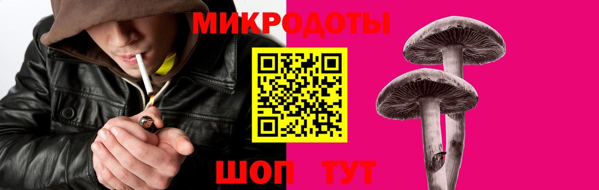 Псилоцибиновые грибы GOLDEN TEACHER  Псилоцибиновые грибы MAGIC MUSHROOMS  Вход с VPN  Тельмана 